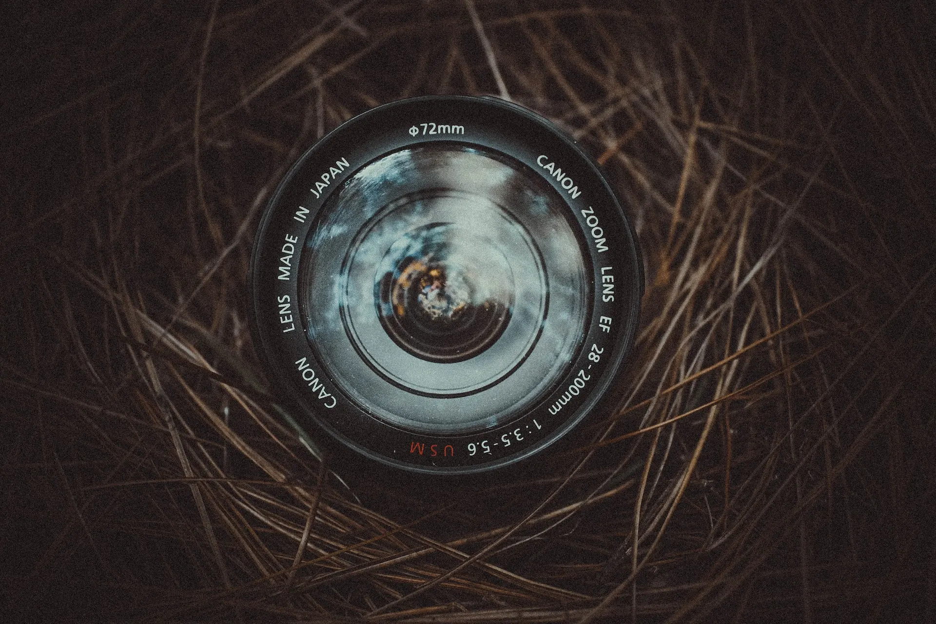 camera lens in a nest outsite, artistic composition