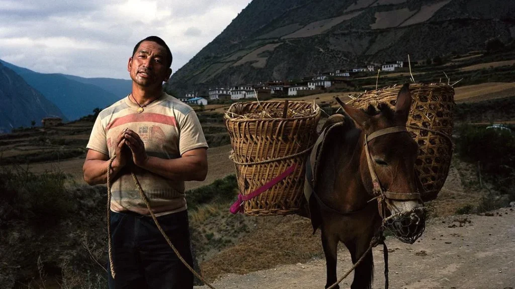 man with donkey posing for a environmental portrait photography shooting