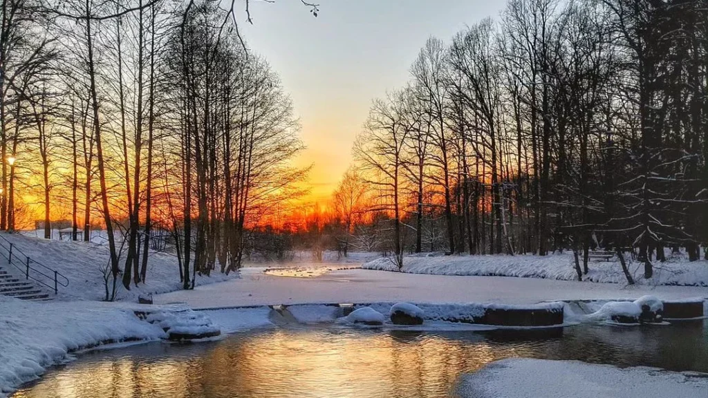 pretty sunset shot with the best cameras for nature photography in 2024, lake with snow and ice, forest and sunset
